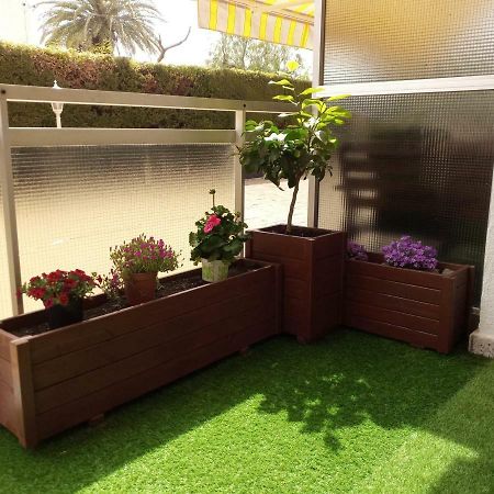Apartamento En La Playa ميامي بلاتجا المظهر الخارجي الصورة